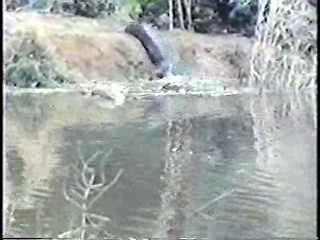 Anything For Money,  Bring 'Em Back Alive