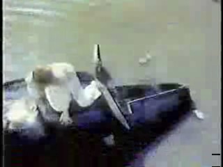 Anything For Money,  Bring 'Em Back Alive