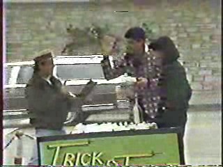 Anything For Money (2)