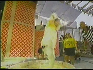 Family Challenge Chicken