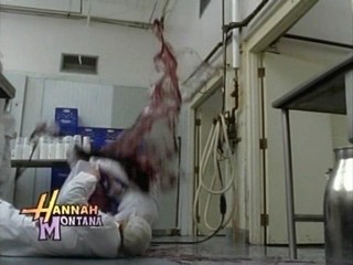 Cow Belles - Aly & AJ