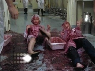 Cow Belles - Aly & AJ