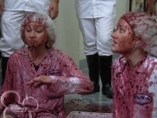 Cow Belles - Aly & AJ