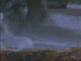 101 Dalmatians (1996)