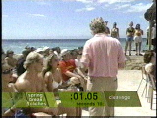 MTV's Springer Break