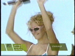 MTV's Springer Break