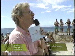 MTV's Springer Break