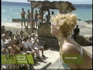 MTV's Springer Break