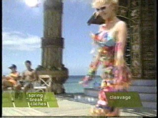 MTV's Springer Break