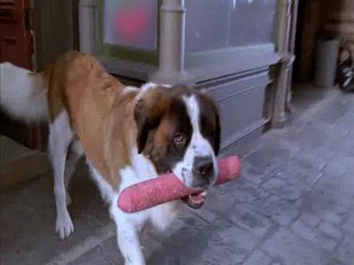 Beethoven's Big Break