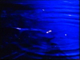 Splash Dance & Desert