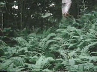 Alice in Wonderland (1976)