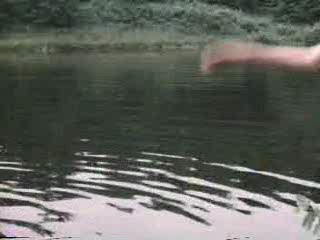 Alice in Wonderland (1976)