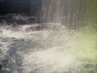 Million Dollar Mermaid 2