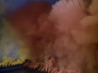 Million Dollar Mermaid 3