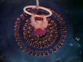 Million Dollar Mermaid 3